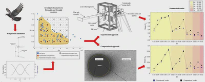Investigation of the Aerodynamics of Bioinspired Flapping Wings featured image