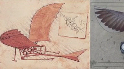 Should We Care about how Birds Fly? featured image